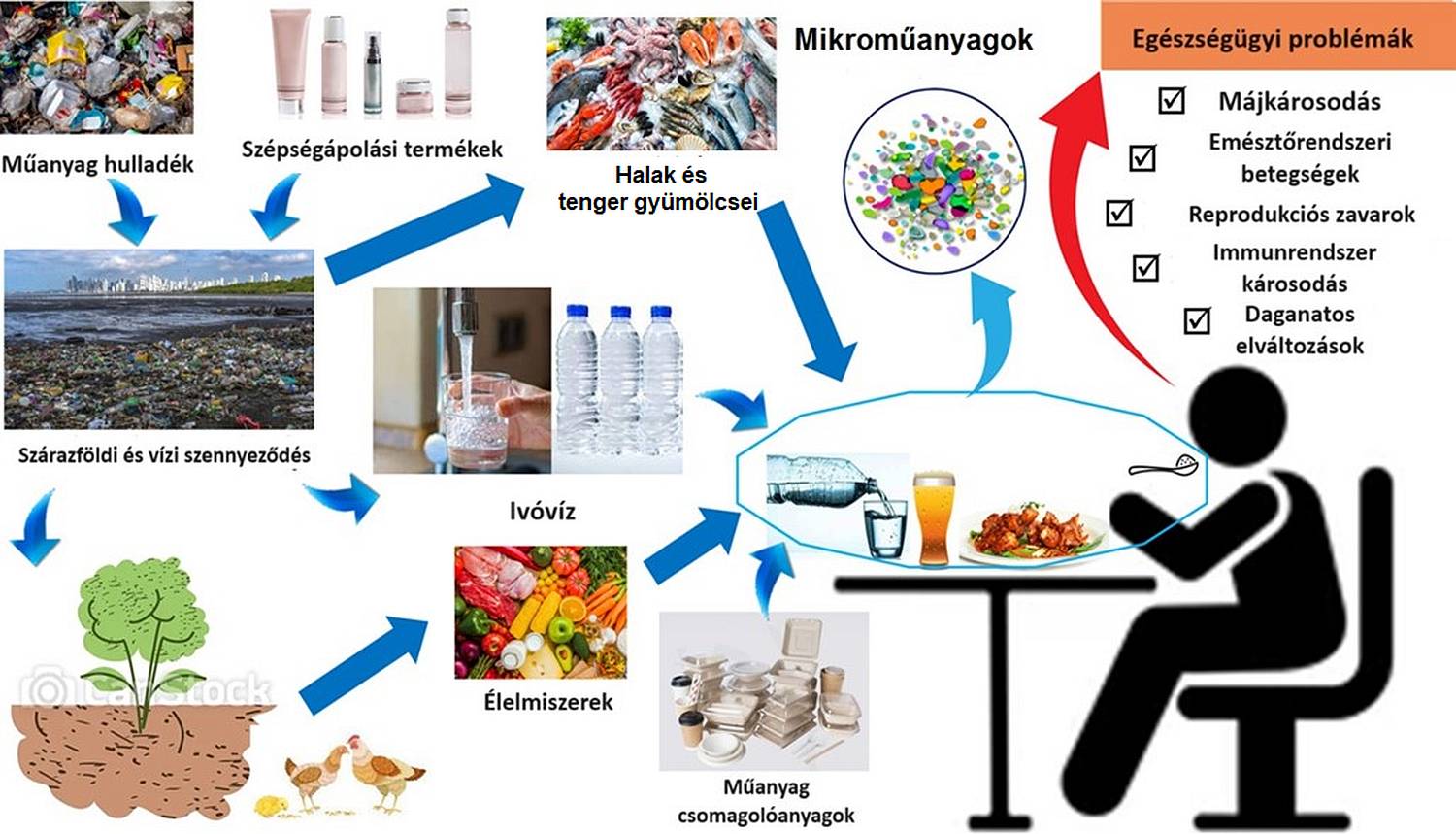 Mikroműanyag-források és a mikroműanyagok emberi szervezetbe kerülésének kockázata az egészségre (fordítás: MDOSZ). 