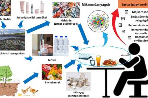 Mikroműanyag-források és a mikroműanyagok emberi szervezetbe kerülésének kockázata az egészségre (fordítás: MDOSZ)