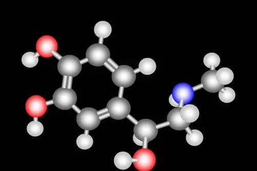 Adrenalin molekula térbeli modellje