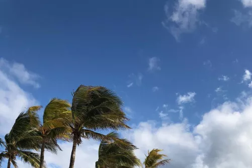 Vihar készül a tengerparton