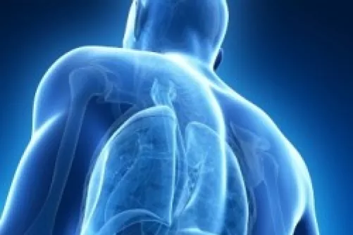 Veséink (illusztráció)