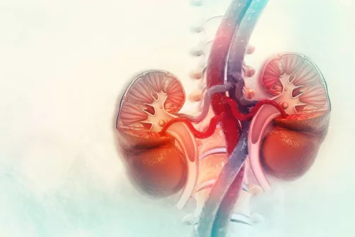 Vesék sematikus grafikán