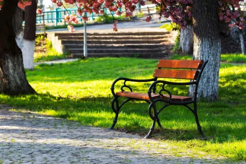 Park a városban
