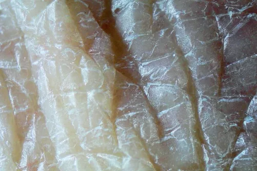 Kéz bőre magas nagyítású fotón