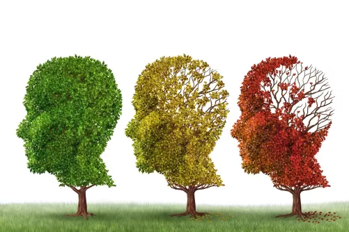 Arcformájú lombkorona leveleit veszti (demencia illusztráció)