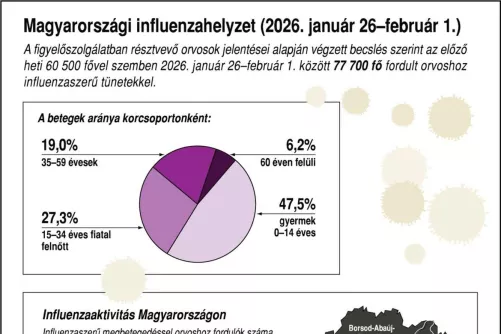 Influenzahelyzet Magyaroszágon