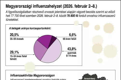 Infografika – Magyarországi influenzahelyzet (2026. február 2-8.)
