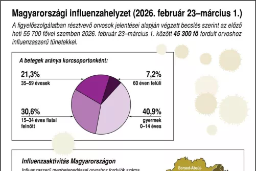 Magyarországi influenzahelyzet, infografika