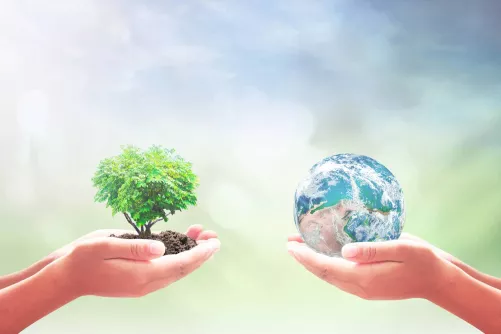 illusztráció – kézben tartott kék bolygónk és lombos fa