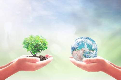 illusztráció – kézben tartott kék bolygónk és lombos fa