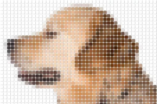 Kutya lekerekített pixeles képe