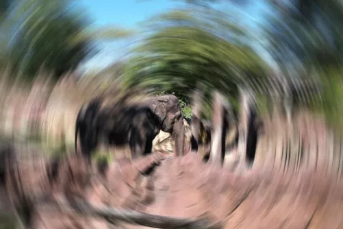 Látászavar – a stroke tüneteit fel kell ismerni (nem diagnosztikus illusztráció)