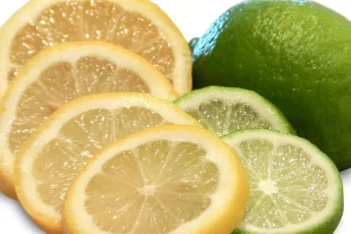 Citrom- és limeszeletek (fotó: pippalou)
