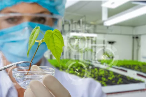Kutató laboratóriumban