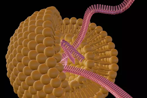 Liposzóma sematikus illusztráció