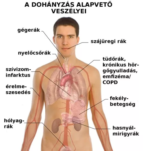 A dohányzás veszélyei