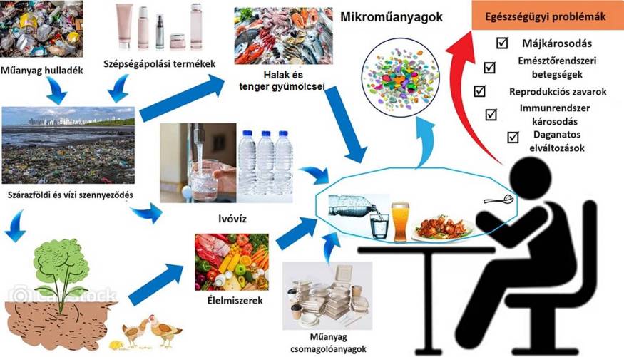 Mikroműanyag-források és a mikroműanyagok emberi szervezetbe kerülésének kockázata az egészségre (fordítás: MDOSZ)