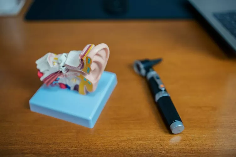 Hallószervi modell és vizsgálóeszköz