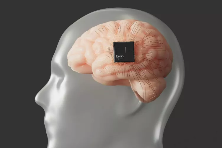 Agy és mikrochip (grafikus illusztráció)