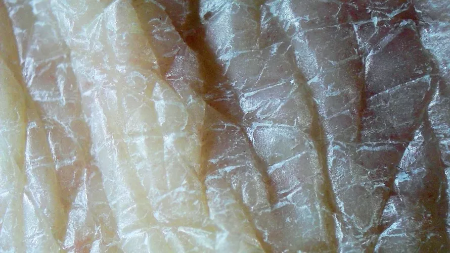 Kéz bőre magas nagyítású fotón