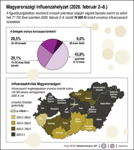 Infografika – Magyarországi influenzahelyzet (2026. február 2-8.)