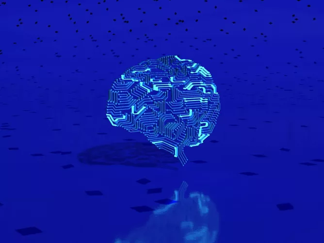 Agy és áramkörök (számítógépes illusztráció)