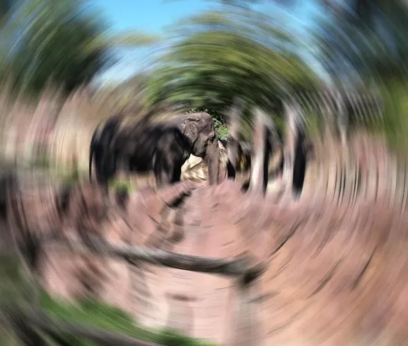 Látászavar – a stroke tüneteit fel kell ismerni (nem diagnosztikus illusztráció)