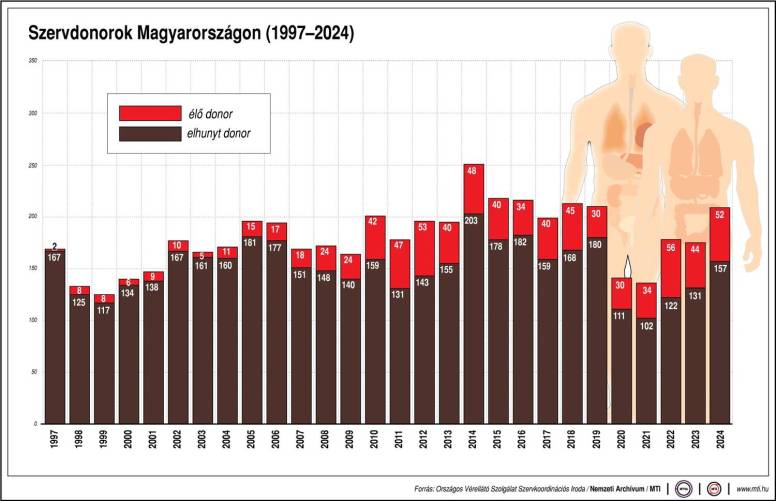 Szervdonorok Magyarországon 1997-2024