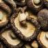 Shiitake gomba