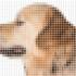Kutya lekerekített pixeles képe