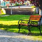 Park a városban
